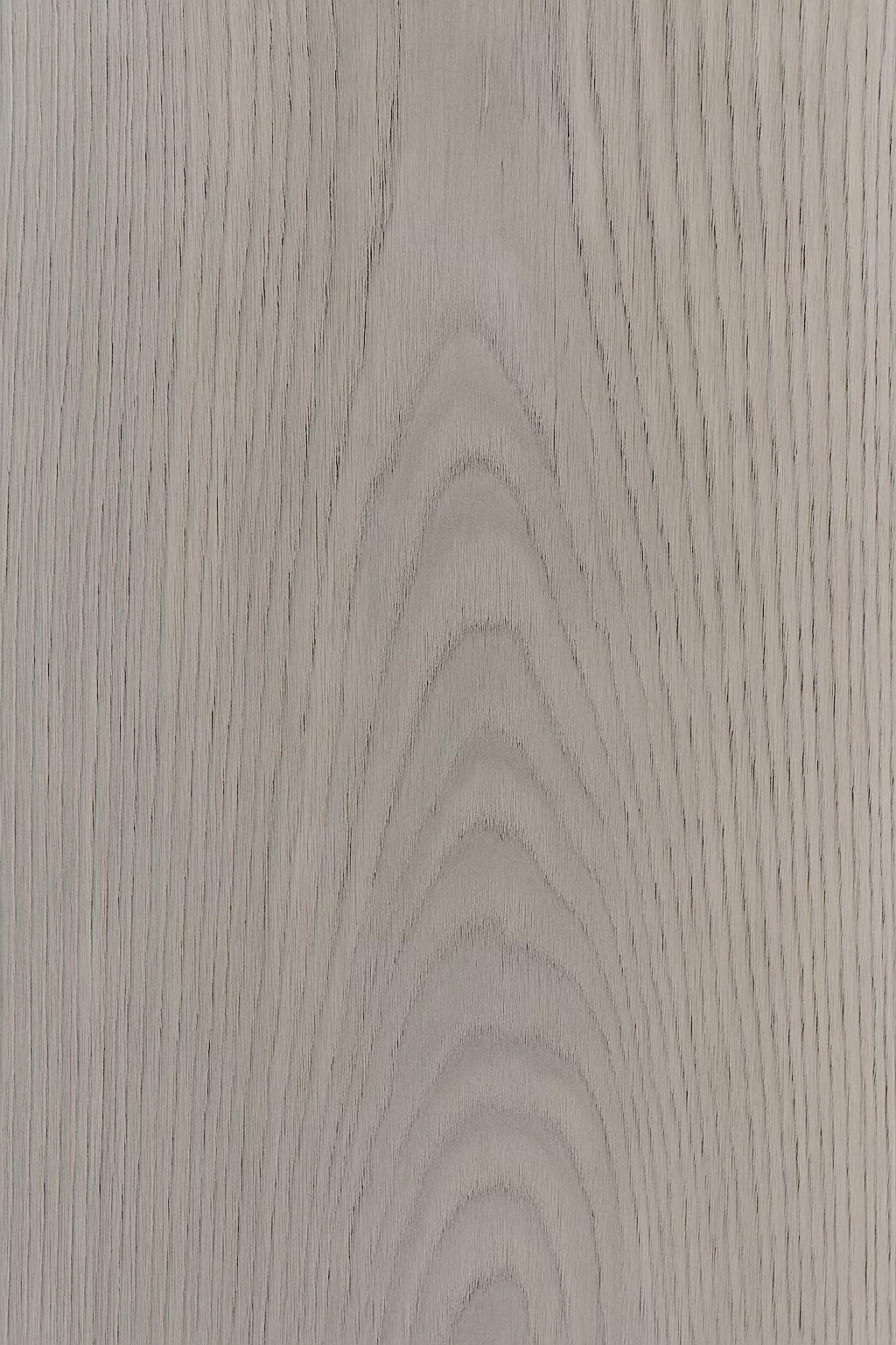 oak GRIS DE MONTAGNE